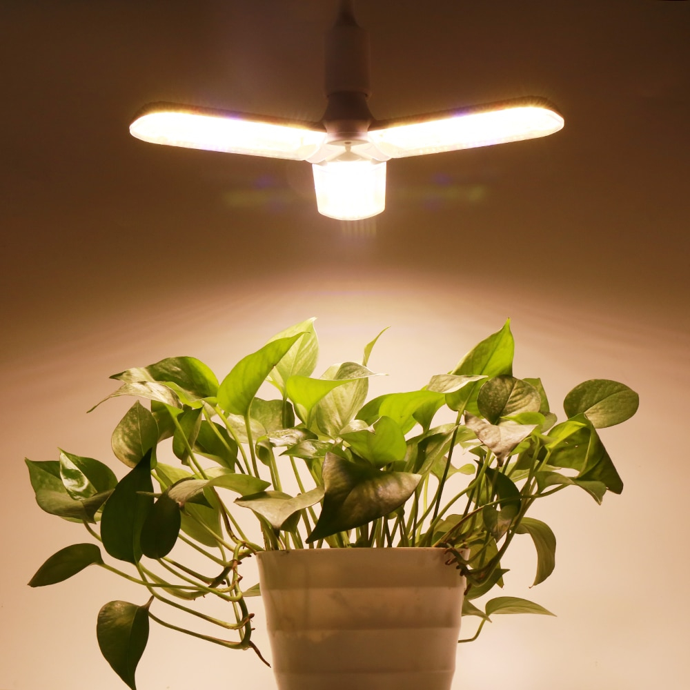 Sun Imitation Indoor Garden Lamp | Home Garden Area
