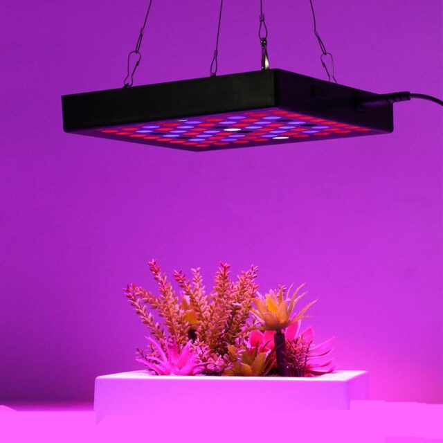 Full Spectrum Grow Light For Gardening